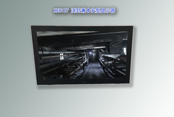 澆封兼本安型顯示器,防爆顯示器